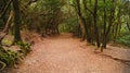 The mystic of the Path of the Senses on Tenerife