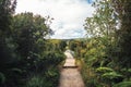 Sendero El Tepual footpath at Chiloe National Park - Chiloe Island, Chile