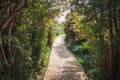 Sendero Playa footpath at Chiloe National Park - Chiloe Island, Chile