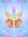 Sending You Beautiful Seven Chakra Healing Energy Royalty Free Stock Photo