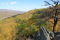 Seneca rock in Fall - appalachian mountains - West Virginia, USA