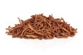 Senega Root Herb Royalty Free Stock Photo