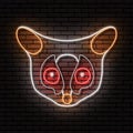 The Senegal bushbaby, Galago senegalensis, the head of an animal in the form of a neon sign.