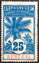 Senegal - circa 1906: A canceled postage stamp printed by Senegal showing an oil palm, circa 1906.