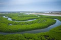 Senegal Mangroves. Aerial view of mangrove forest in the Saloum Delta National Park, Joal Fadiout, Senegal. Photo made by drone