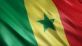 Senegal National Flag