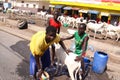 Senegalese Boys Wash a Sheep Royalty Free Stock Photo