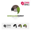 Senegalese parrot bird concept icon set and modern brand identity logo template and app symbol based on comma sign