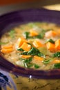 Senegalese Peanut Stew with Spinach & Sweet Potato Royalty Free Stock Photo