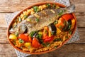 Senegalese Thieboudienne it is a preparation of fresh fish, and rice, cooked with vegetables such as cassava, pumpkin, cabbage, Royalty Free Stock Photo