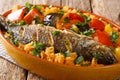 Senegalese Thieboudienne it is a preparation of fresh fish, and rice, cooked with vegetables such as cassava, pumpkin, cabbage,