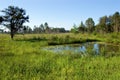 Seney Pond Scenic  701074 Royalty Free Stock Photo