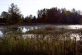 Seney Pool Scenic  800295 Royalty Free Stock Photo