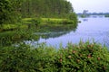 Seney Pool Scenic with Roses 49399