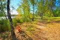 Senftenberg Lake beach, Lusatian Lake District