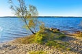 Senftenberg Lake beach, Lusatian Lake District Royalty Free Stock Photo