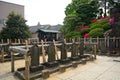 Sengaku temple, Tokyo, Japan Royalty Free Stock Photo