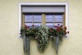 Photo of a window with flowers in Senheim, Germany Royalty Free Stock Photo