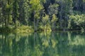 Scenic Landscape along the Watauga River in Tennessee