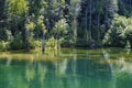 Scenic Landscape along the Watauga River in Tennessee