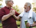 Senior Adult Exercise Fitness Strength Royalty Free Stock Photo