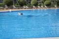 Senior adult swims in the pool. The concept of a healthy active lifestyle in old age Royalty Free Stock Photo