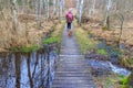 Senior adult woman walking with her dachshund on a narrow wooden path over flooded swampy ground Royalty Free Stock Photo