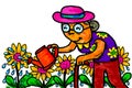 Senior Woman Gardener Watering Flowers