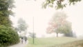 Senior adults walking in the park in the foggy morning