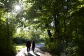 Senior adults walking in the public park with lens flare