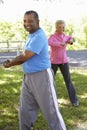 Senior African American Couple Exercising In Park Royalty Free Stock Photo