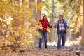 Senior African American Couple Walking Through Fall Woodland Royalty Free Stock Photo