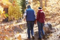 Senior African American Couple Walking Through Fall Woodland Royalty Free Stock Photo