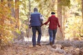 Senior African American Couple Walking Through Fall Woodland Royalty Free Stock Photo