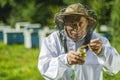 Senior apiarist checking bee pollen in apiary