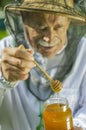 Senior apiarist checking his honey in apiary