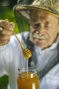 Senior apiarist checking his honey in apiary