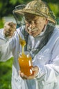 Senior apiarist checking his honey in apiary