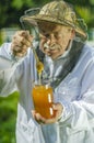 Senior apiarist checking his honey in apiary