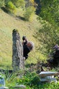 Senior artist carving in large stone with enthusiasm