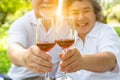 Senior asian couple celebrating wedding anniversary, cheering with wine glasses at park. Happy elderly couple having fun together.