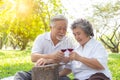 Senior asian couple cheering with wine glasses at park. Happy elderly couple having fun together. Senior couple having picnic. Gra Royalty Free Stock Photo