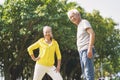 Senior asian couple exercising in park