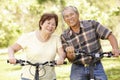 Senior Asian couple riding bikes in park