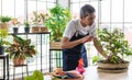 A senior Asian man gardener using planting scissor cutting the branches of a small tree in indoor garden Royalty Free Stock Photo