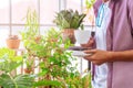 Senior man having morning coffee in his houseplant garden glasshouse home Royalty Free Stock Photo