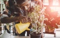 Senior Asian man is watering houseplant in his home gardening small business plant workshop