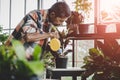 Senior Asian man watering houseplant in his home gardening small business plant workshop Royalty Free Stock Photo