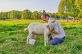 A senior asian man in a white shirt milks a white goat on a meadow in a Siberian village, Russia