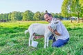 A senior asian man in a white shirt milks a smiling white goat and laughs on a meadow in a Siberian village, Russia